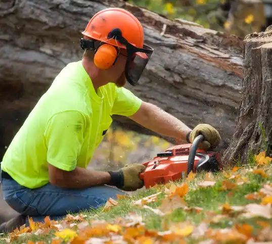 tree services LaGrange